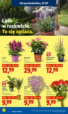 Lidl - gazetka promocyjna Oferta od poniedziałku od poniedziałku 27.07 do środy 29.07 - strona 92
