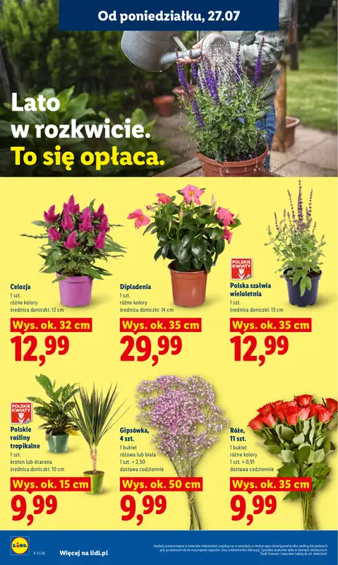 Lidl - gazetka promocyjna Oferta od poniedziałku od poniedziałku 27.07 do środy 29.07 - strona 92