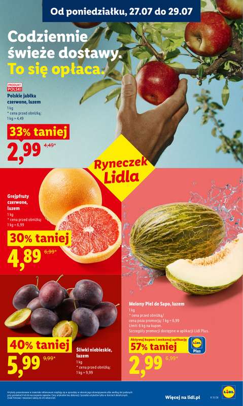 Lidl - gazetka promocyjna Oferta od poniedziałku od poniedziałku 27.07 do środy 29.07 - strona 45