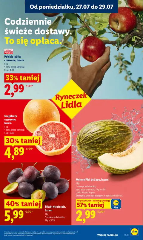 Lidl - gazetka promocyjna Oferta od poniedziałku od poniedziałku 27.07 do środy 29.07 - strona 45
