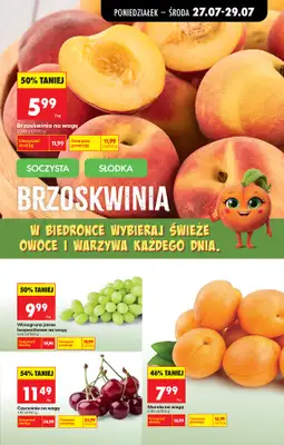 Biedronka - gazetka promocyjna Od poniedziałku od poniedziałku 27.07 do soboty 01.08 - strona 26