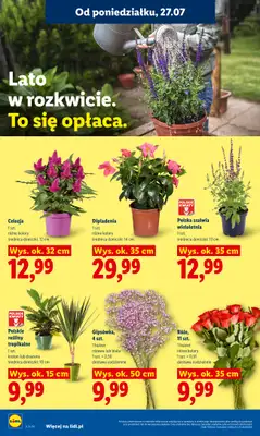 Lidl - gazetka promocyjna Oferta od poniedziałku od poniedziałku 27.07 do środy 29.07 - strona 92
