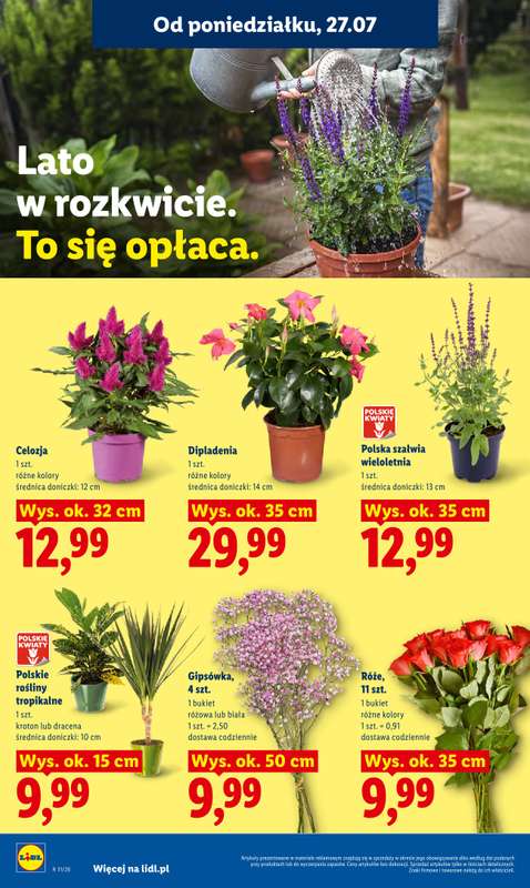 Lidl - gazetka promocyjna Oferta od poniedziałku od poniedziałku 27.07 do środy 29.07 - strona 92