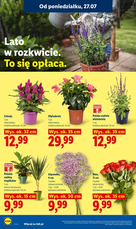 Lidl - gazetka promocyjna Oferta od poniedziałku od poniedziałku 27.07 do środy 29.07 - strona 92
