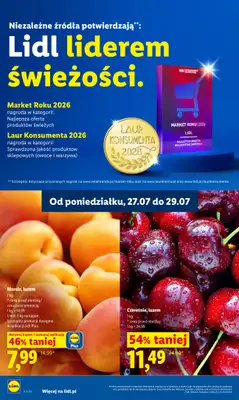 Lidl - gazetka promocyjna Oferta od poniedziałku od poniedziałku 27.07 do środy 29.07 - strona 42