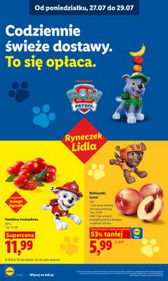 Lidl - gazetka promocyjna Oferta od poniedziałku od poniedziałku 27.07 do środy 29.07 - strona 46