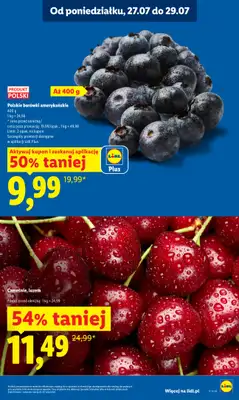 Lidl - gazetka promocyjna Oferta od poniedziałku od poniedziałku 27.07 do środy 29.07 - strona 19