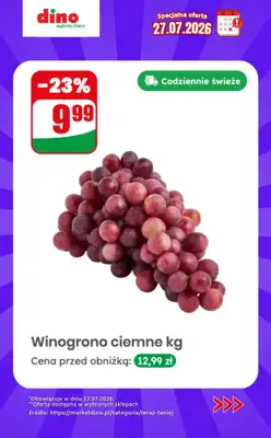 Dino - gazetka promocyjna Specjalna oferta na 27.07.2026 - promocje spoza gazetki od poniedziałku 27.07 do poniedziałku 27.07 - strona 5