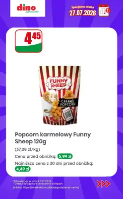 Dino - gazetka promocyjna Specjalna oferta na 27.07.2026 - promocje spoza gazetki od poniedziałku 27.07 do poniedziałku 27.07 - strona 7