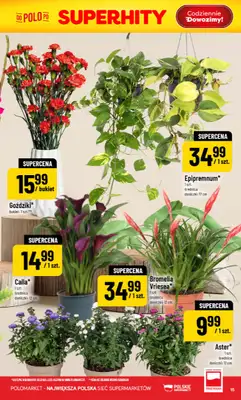 POLOmarket - gazetka promocyjna Gazetka od środy 29.07 do wtorku 04.08 - strona 15