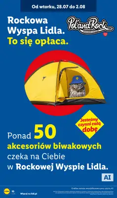 Lidl - gazetka promocyjna Pol'and'rock od wtorku 28.07 do niedzieli 02.08 - strona 10