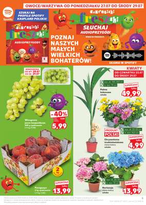 Kaufland - gazetka promocyjna Gazetka Tygodnia od czwartku 23.07 do środy 29.07 - strona 5