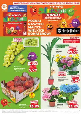 Kaufland - gazetka promocyjna Gazetka Tygodnia od czwartku 23.07 do środy 29.07 - strona 5