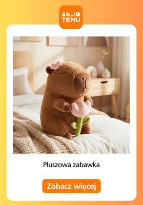 Temu - gazetka promocyjna Pluszowe zabawki od wtorku 28.07  - strona 2