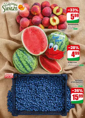 Dino - gazetka promocyjna Gazetka 31 / 2026 od środy 29.07 do wtorku 04.08 - strona 37