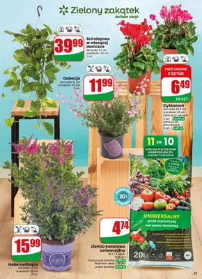 Dino - gazetka promocyjna Gazetka 31 / 2026 od środy 29.07 do wtorku 04.08 - strona 55