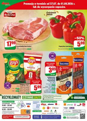 Dino - gazetka promocyjna Gazetka 31 / 2026 od środy 29.07 do wtorku 04.08 - strona 73