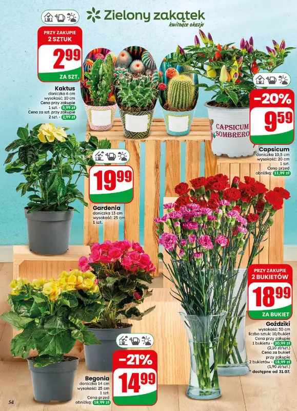 Dino - gazetka promocyjna Gazetka 31 / 2026 od środy 29.07 do wtorku 04.08 - strona 54