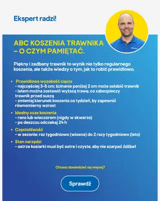 Castorama - gazetka promocyjna Ogród od środy 29.07 do wtorku 11.08 - strona 6