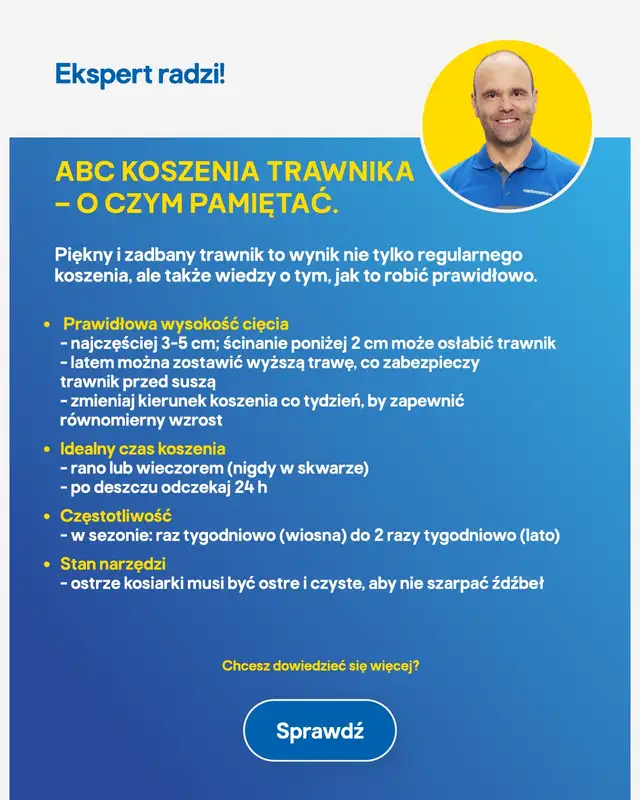 Castorama - gazetka promocyjna Ogród od środy 29.07 do wtorku 11.08 - strona 6