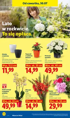 Lidl - gazetka promocyjna Oferta od czwartku od czwartku 30.07 do soboty 01.08 - strona 94