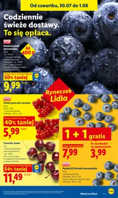 Lidl - gazetka promocyjna Oferta od czwartku od czwartku 30.07 do soboty 01.08 - strona 47