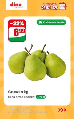 Dino - gazetka promocyjna Specjalna oferta na 29.07.2026 - promocje spoza gazetki od środy 29.07 do środy 29.07 - strona 4