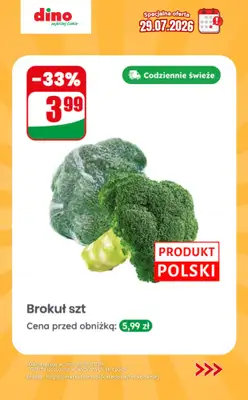 Dino - gazetka promocyjna Specjalna oferta na 29.07.2026 - promocje spoza gazetki od środy 29.07 do środy 29.07 - strona 6