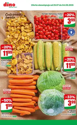 Dino - gazetka promocyjna Najlepsze promocje! od środy 29.07 do wtorku 04.08 - strona 8