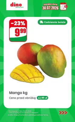 Dino - gazetka promocyjna Specjalna oferta na 30.07.2026 - promocje spoza gazetki od czwartku 30.07 do czwartku 30.07 - strona 4