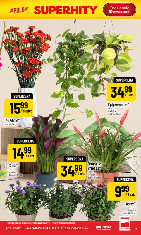 POLOmarket - gazetka promocyjna Gazetka od środy 29.07 do wtorku 04.08 - strona 15
