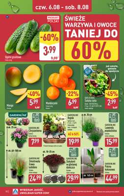 Aldi - gazetka promocyjna Pełny katalog! od poniedziałku 03.08 do soboty 08.08 - strona 32