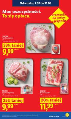 Lidl - gazetka promocyjna Oferta od czwartku od czwartku 30.07 do soboty 01.08 - strona 17