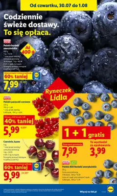 Lidl - gazetka promocyjna Oferta od czwartku od czwartku 30.07 do soboty 01.08 - strona 47