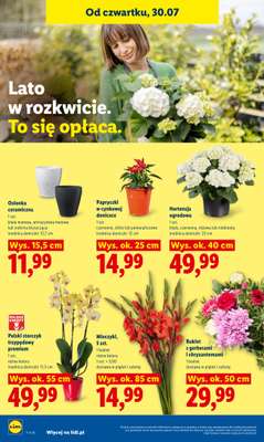 Lidl - gazetka promocyjna Oferta od czwartku od czwartku 30.07 do soboty 01.08 - strona 94