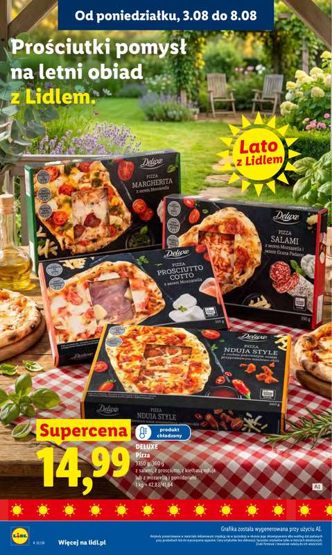 Lidl - gazetka promocyjna Oferta od poniedziałku od poniedziałku 03.08 do środy 05.08 - strona 48