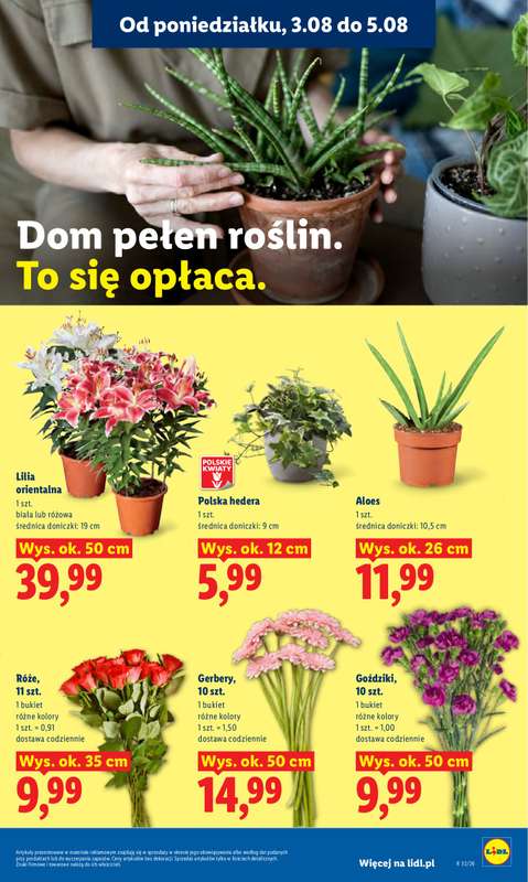 Lidl - gazetka promocyjna Oferta od poniedziałku od poniedziałku 03.08 do środy 05.08 - strona 91