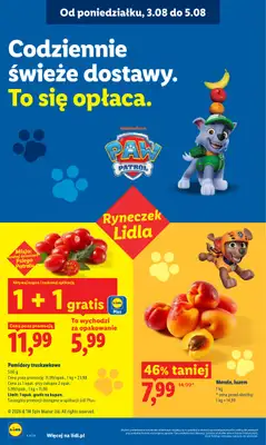 Lidl - gazetka promocyjna Oferta od poniedziałku od poniedziałku 03.08 do środy 05.08 - strona 42