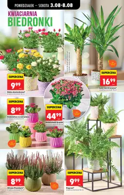 Biedronka - gazetka promocyjna Od poniedziałku od poniedziałku 03.08 do soboty 08.08 - strona 24