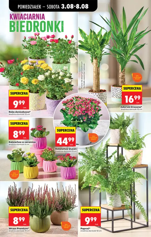 Biedronka - gazetka promocyjna Od poniedziałku od poniedziałku 03.08 do soboty 08.08 - strona 24