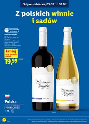 Lidl - gazetka promocyjna Karta Win  do niedzieli 30.08 - strona 4