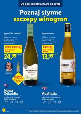 Lidl - gazetka promocyjna Karta Win  do niedzieli 30.08 - strona 10