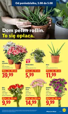 Lidl - gazetka promocyjna Oferta od poniedziałku od poniedziałku 03.08 do środy 05.08 - strona 91
