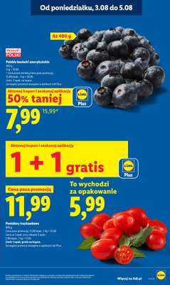 Lidl - gazetka promocyjna Oferta od poniedziałku od poniedziałku 03.08 do środy 05.08 - strona 17