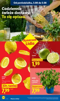 Lidl - gazetka promocyjna Oferta od poniedziałku od poniedziałku 03.08 do środy 05.08 - strona 40