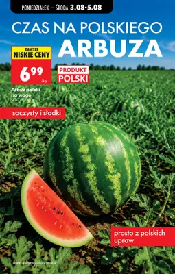 Biedronka - gazetka promocyjna Od poniedziałku od poniedziałku 03.08 do soboty 08.08 - strona 25