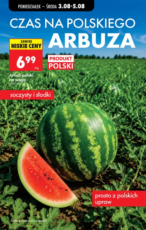 Biedronka - gazetka promocyjna Od poniedziałku, Z ladą tradycyjną od poniedziałku 03.08 do soboty 08.08 - strona 25
