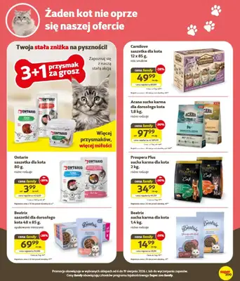 Super Zoo - gazetka promocyjna Gazetka od czwartku 06.08 do środy 19.08 - strona 5