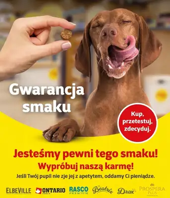 Super Zoo - gazetka promocyjna Gazetka od czwartku 06.08 do środy 19.08 - strona 7