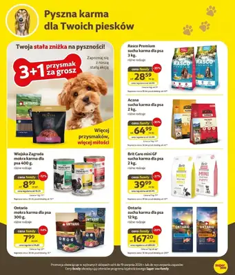 Super Zoo - gazetka promocyjna Gazetka od czwartku 06.08 do środy 19.08 - strona 3